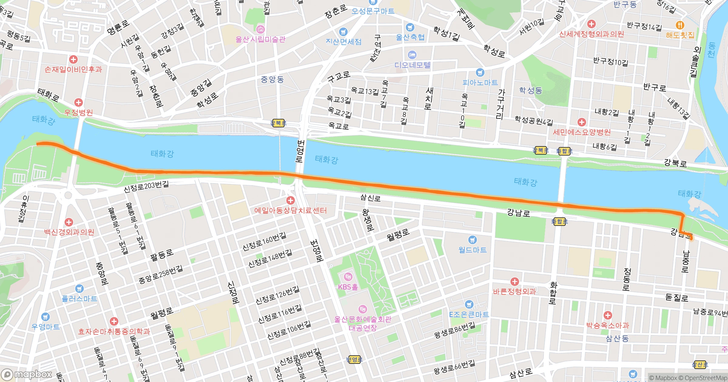 이용환 · 7.8km | O-Rider