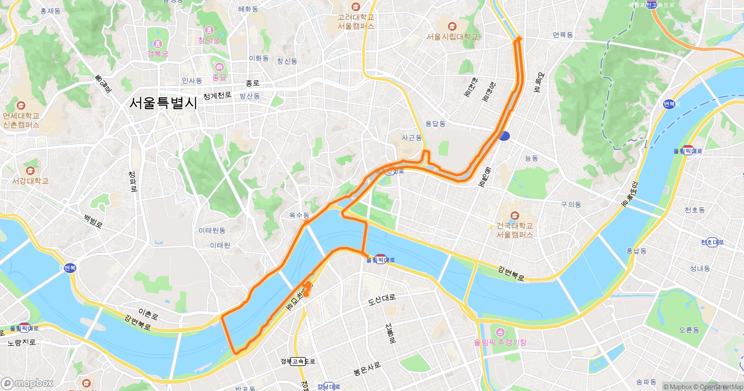 김효정 · 29.0km | O-Rider