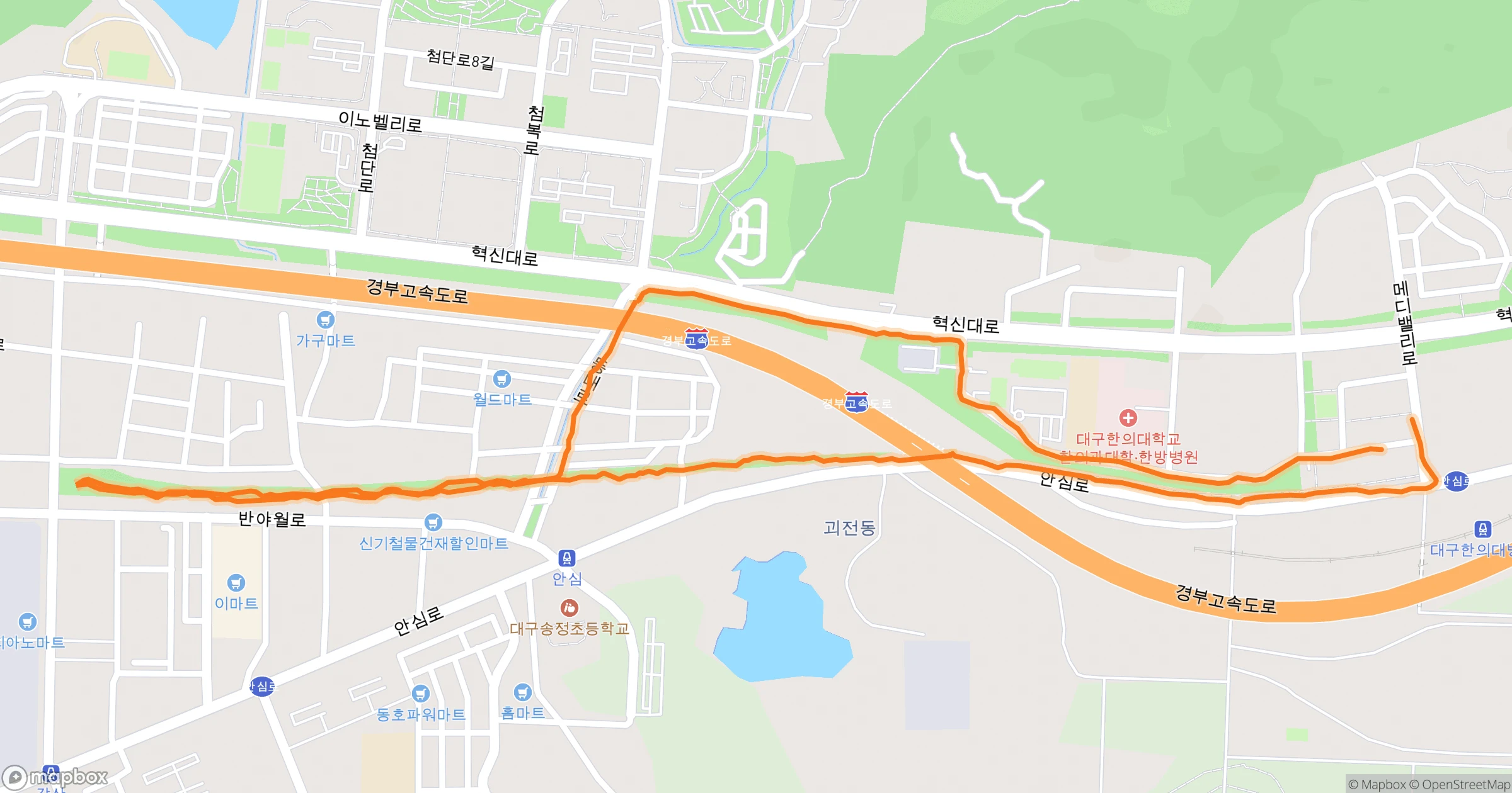 백주목 (Felt) · 5.1km | Orider