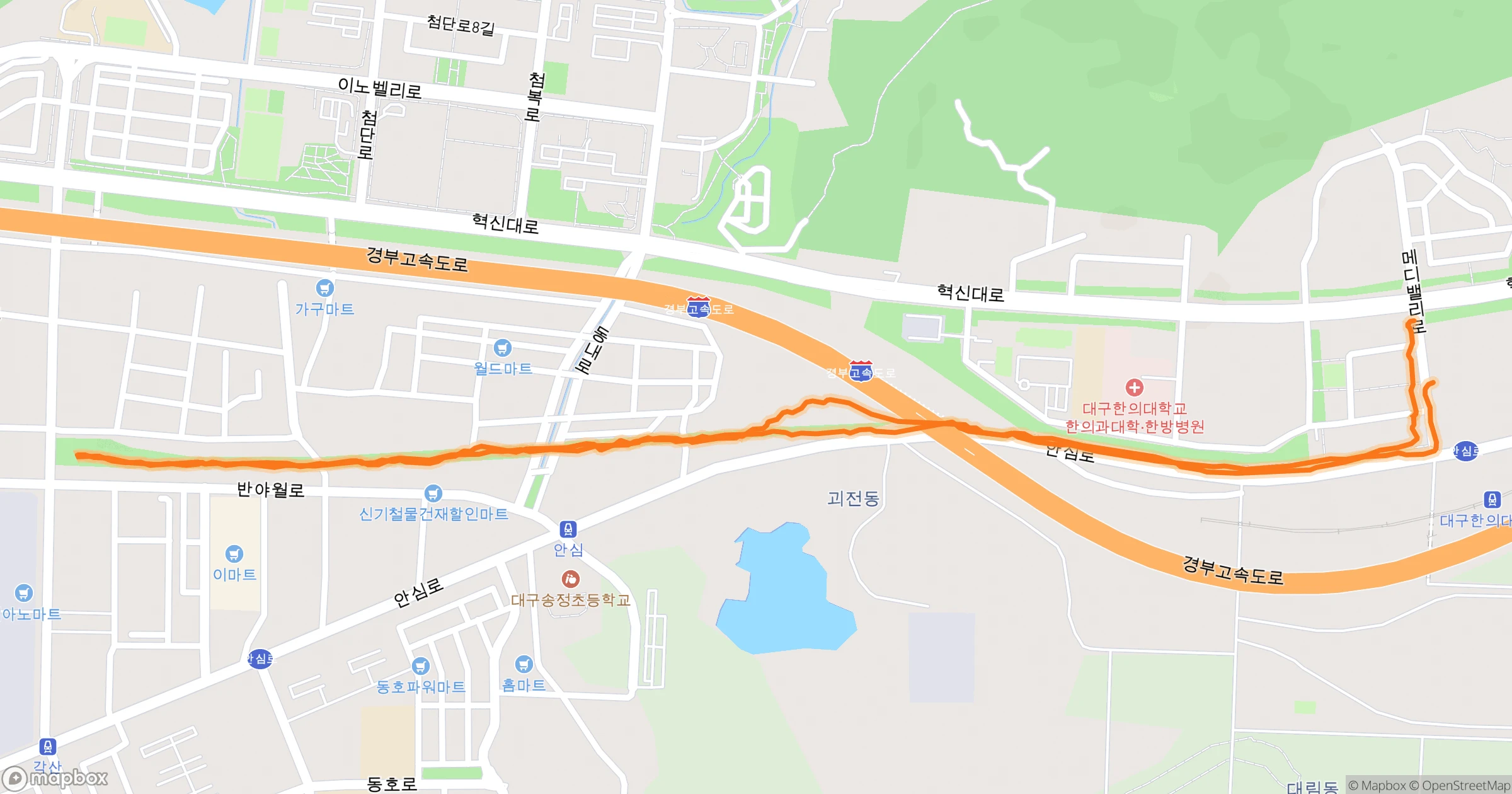 백주목 (Felt) · 5.0km | Orider