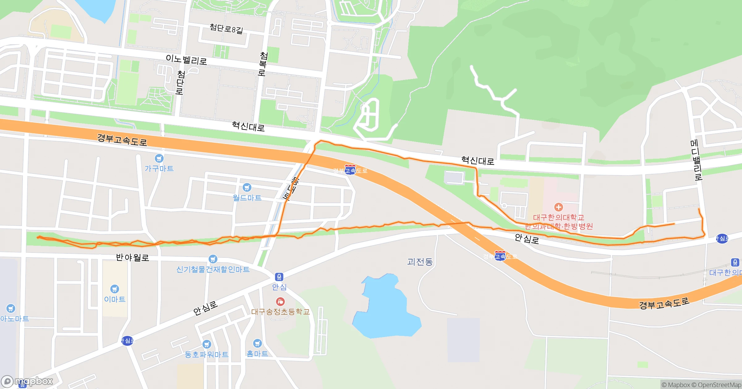 백주목 (Felt) · 5.0km | Orider