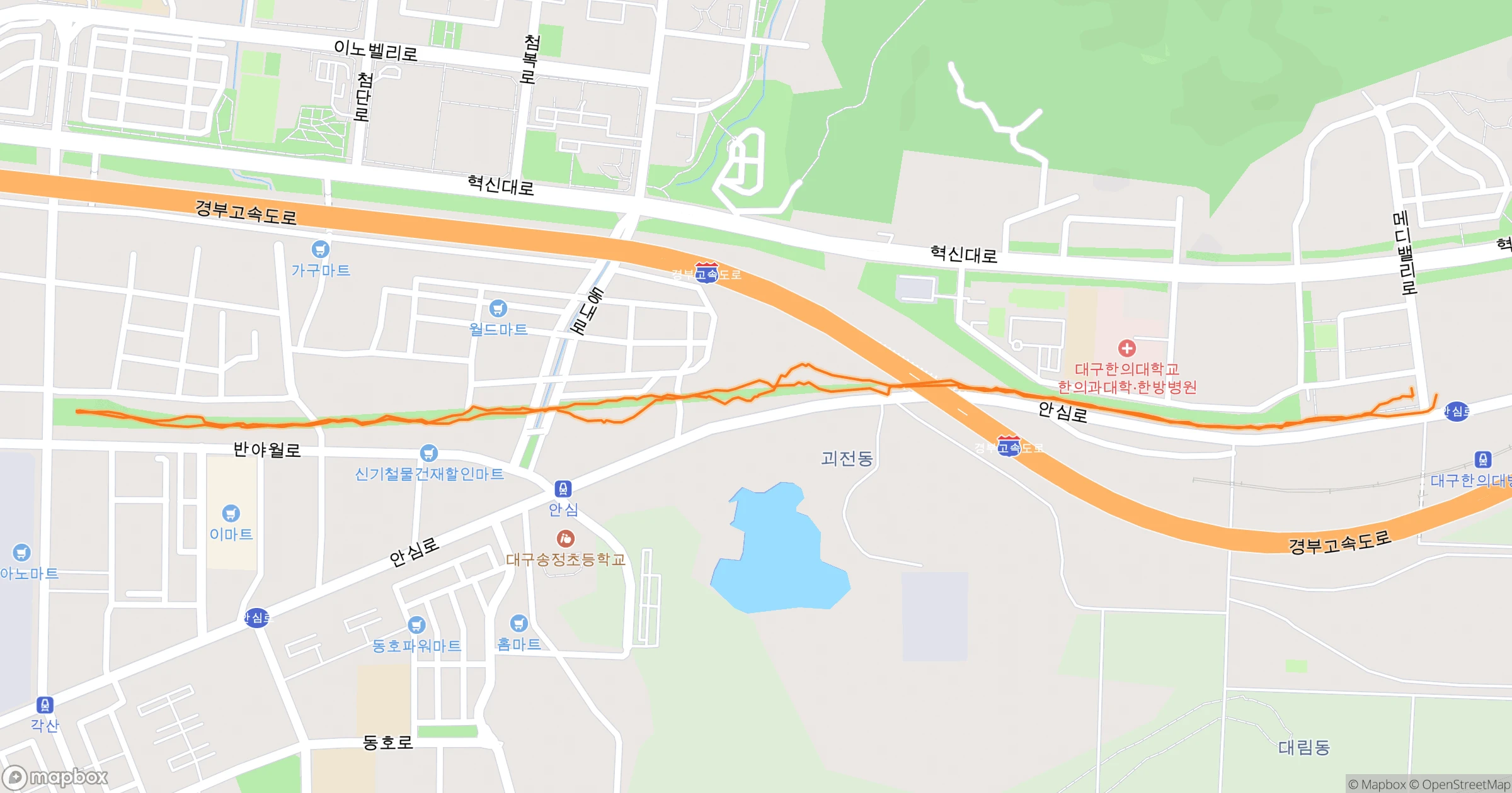 백주목 (Felt) · 5.0km | Orider