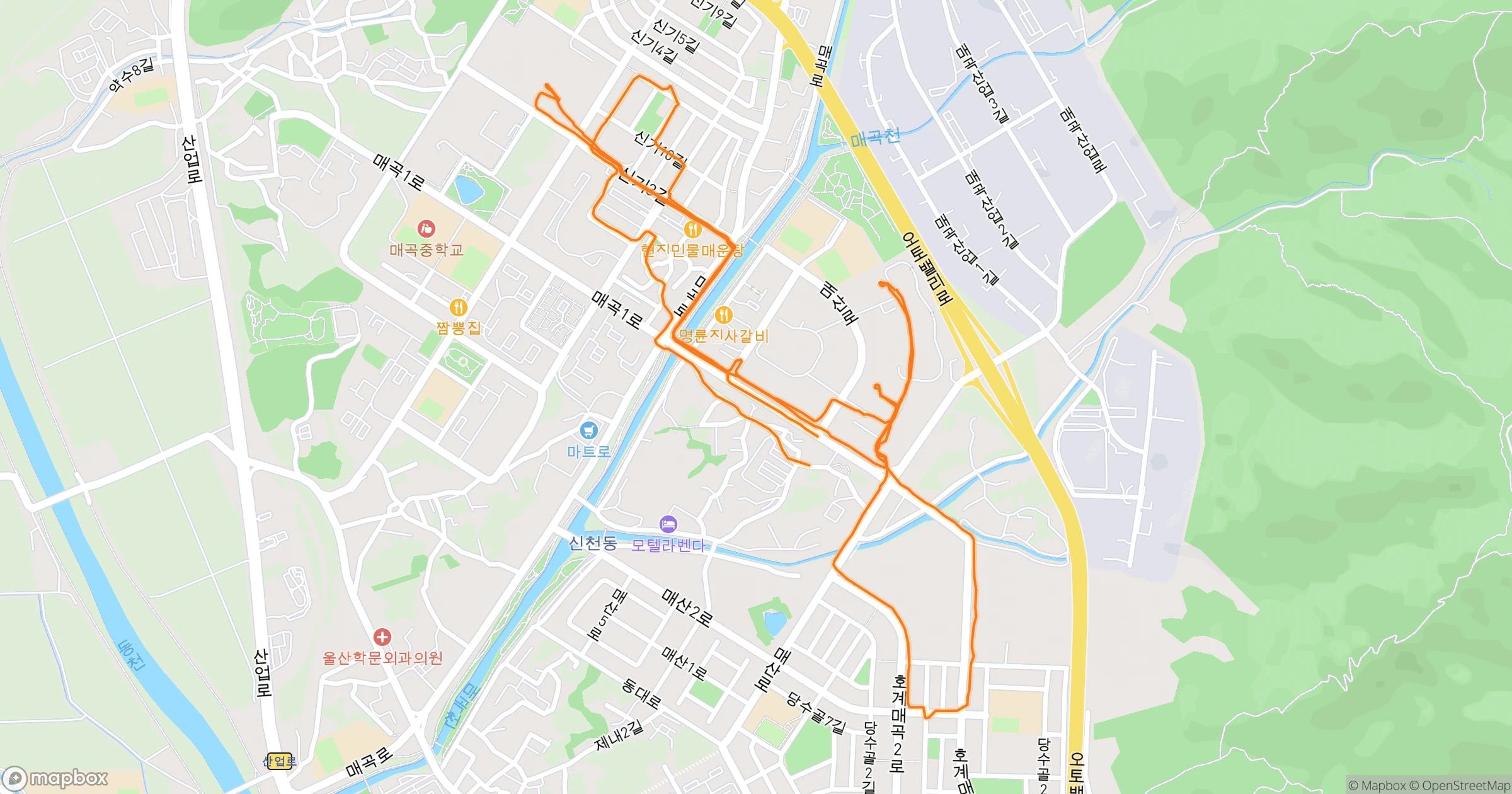 게으른아재 · 8.9km | Orider