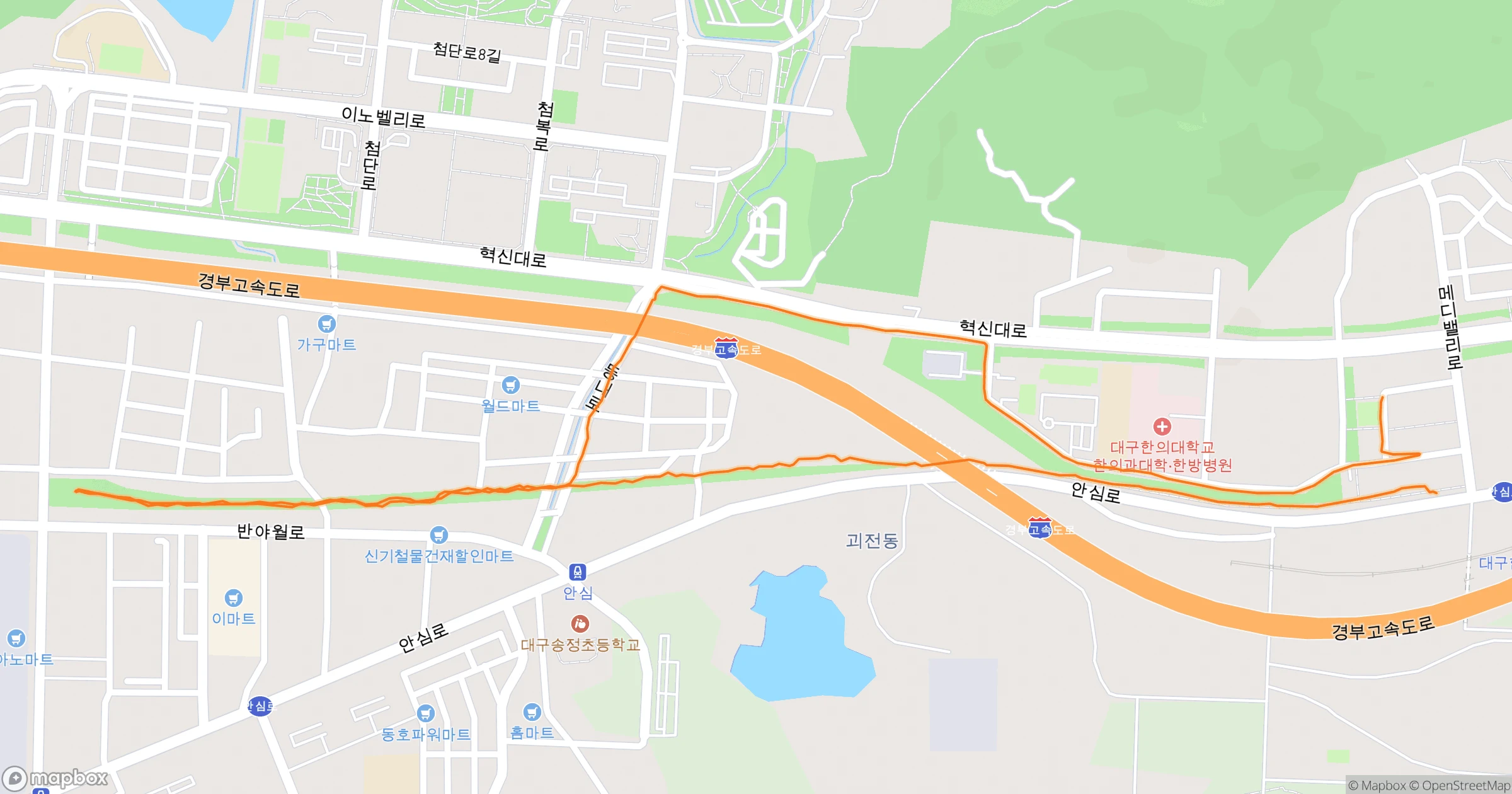백주목 (Felt) · 5.0km | Orider
