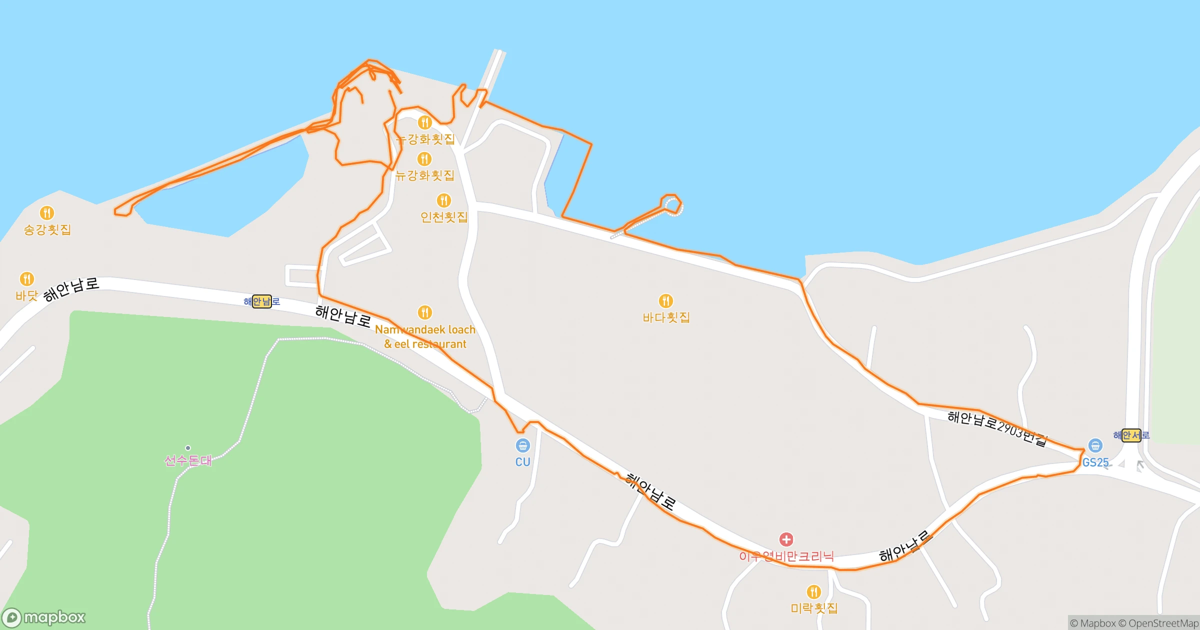 장철한 · 3.0km | Orider