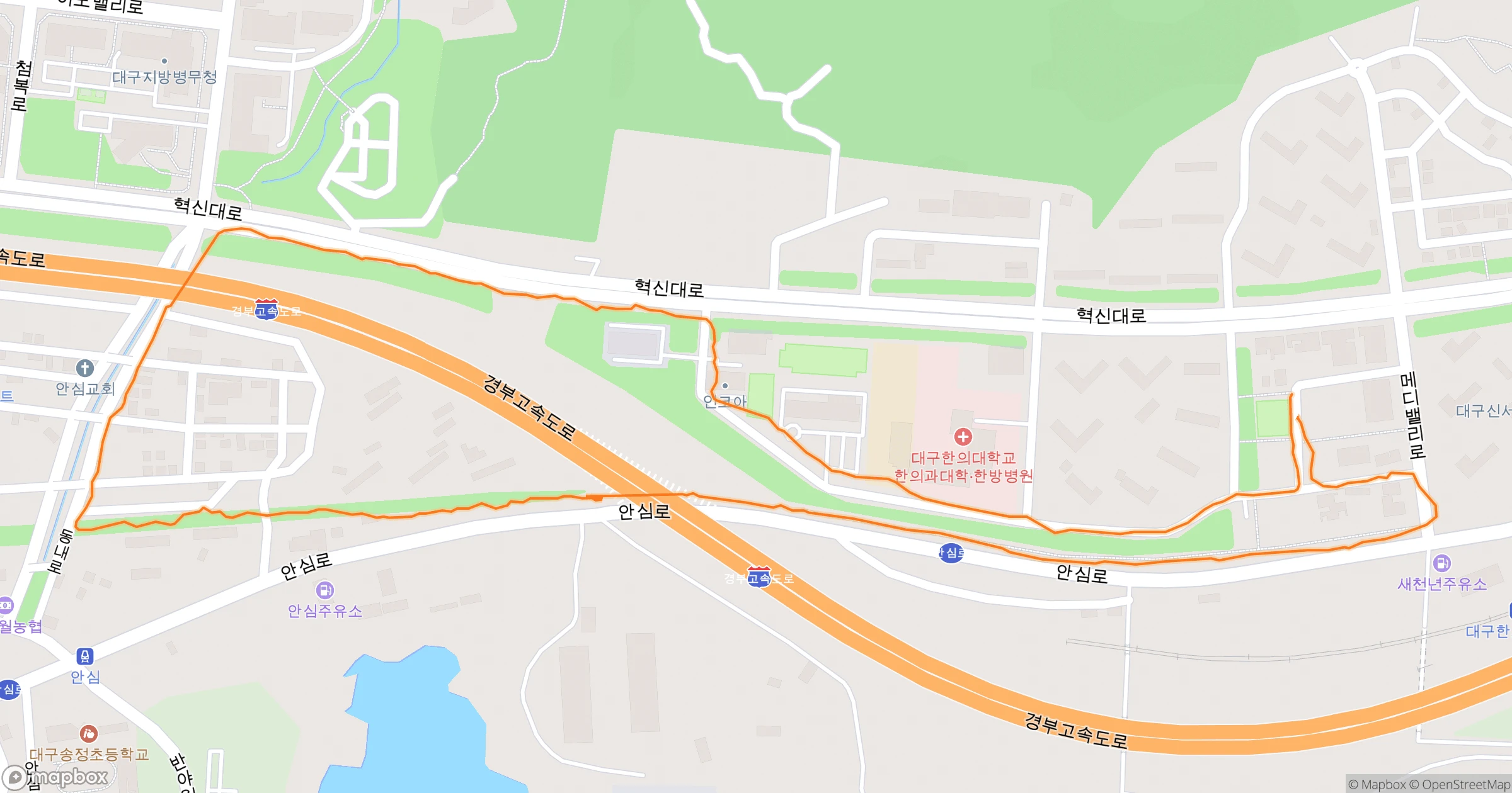 백주목 (Felt) · 3.5km | Orider