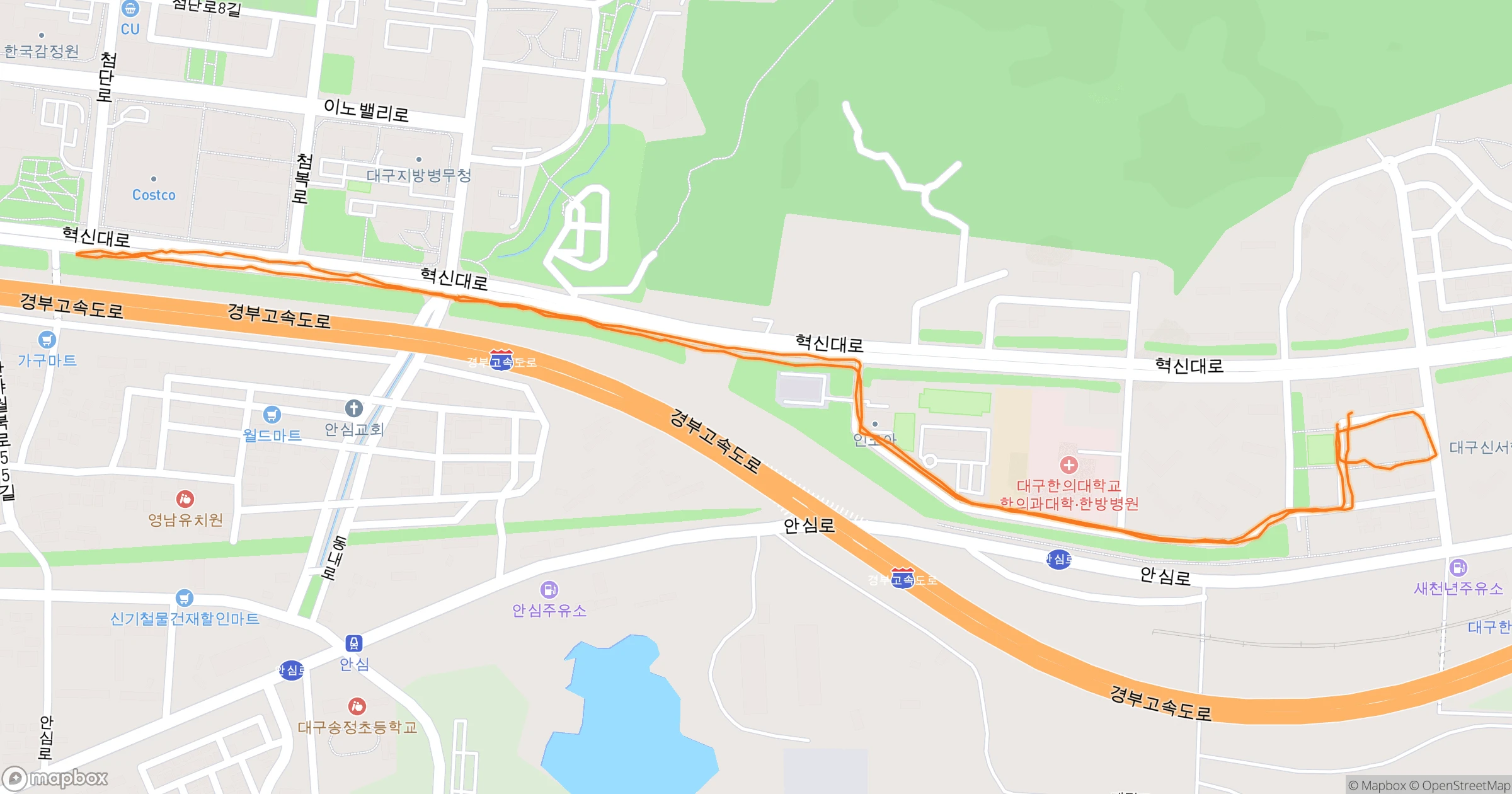 백주목 (Felt) · 4.2km | Orider
