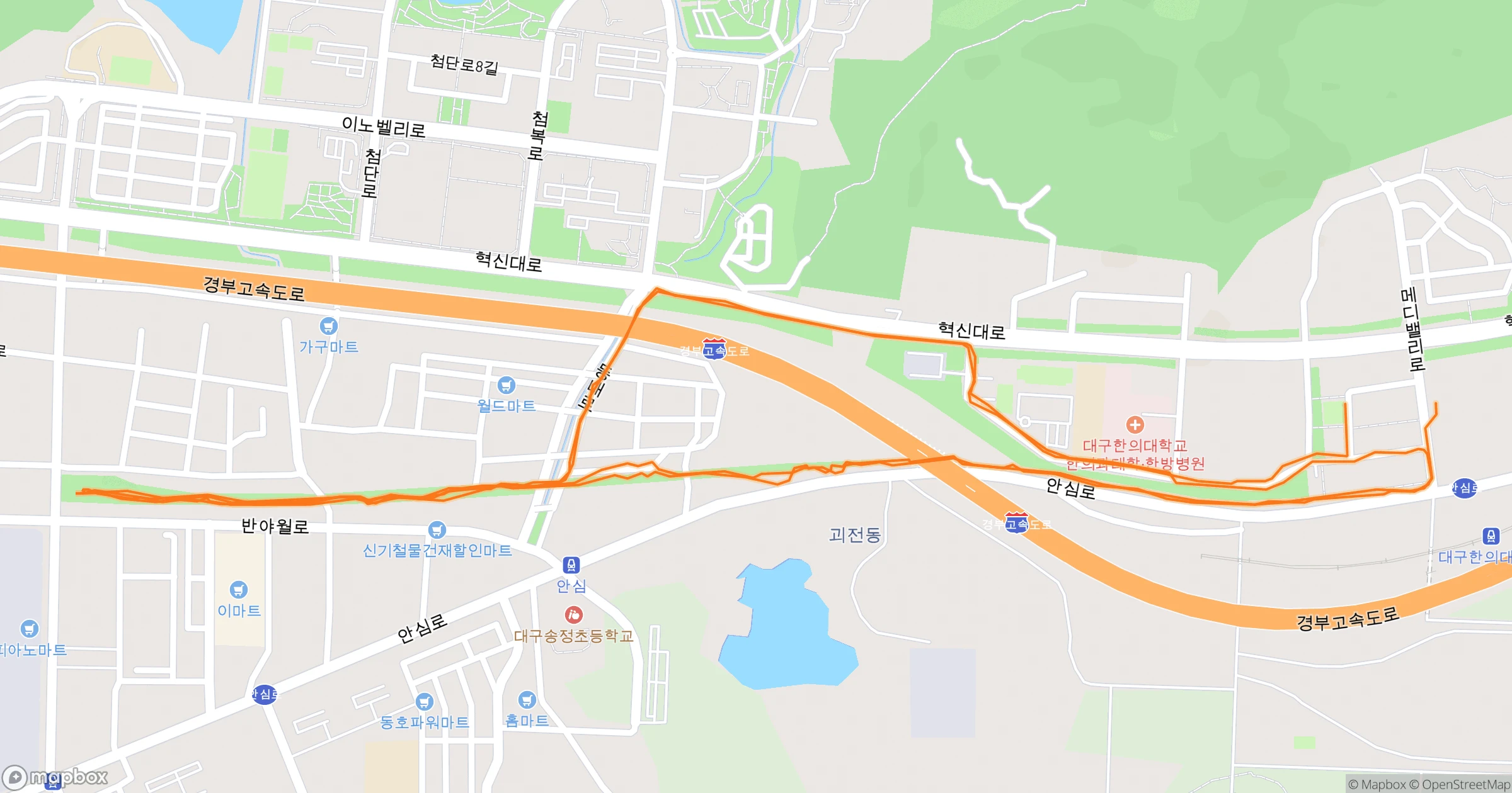 백주목 (Felt) · 10.2km | Orider